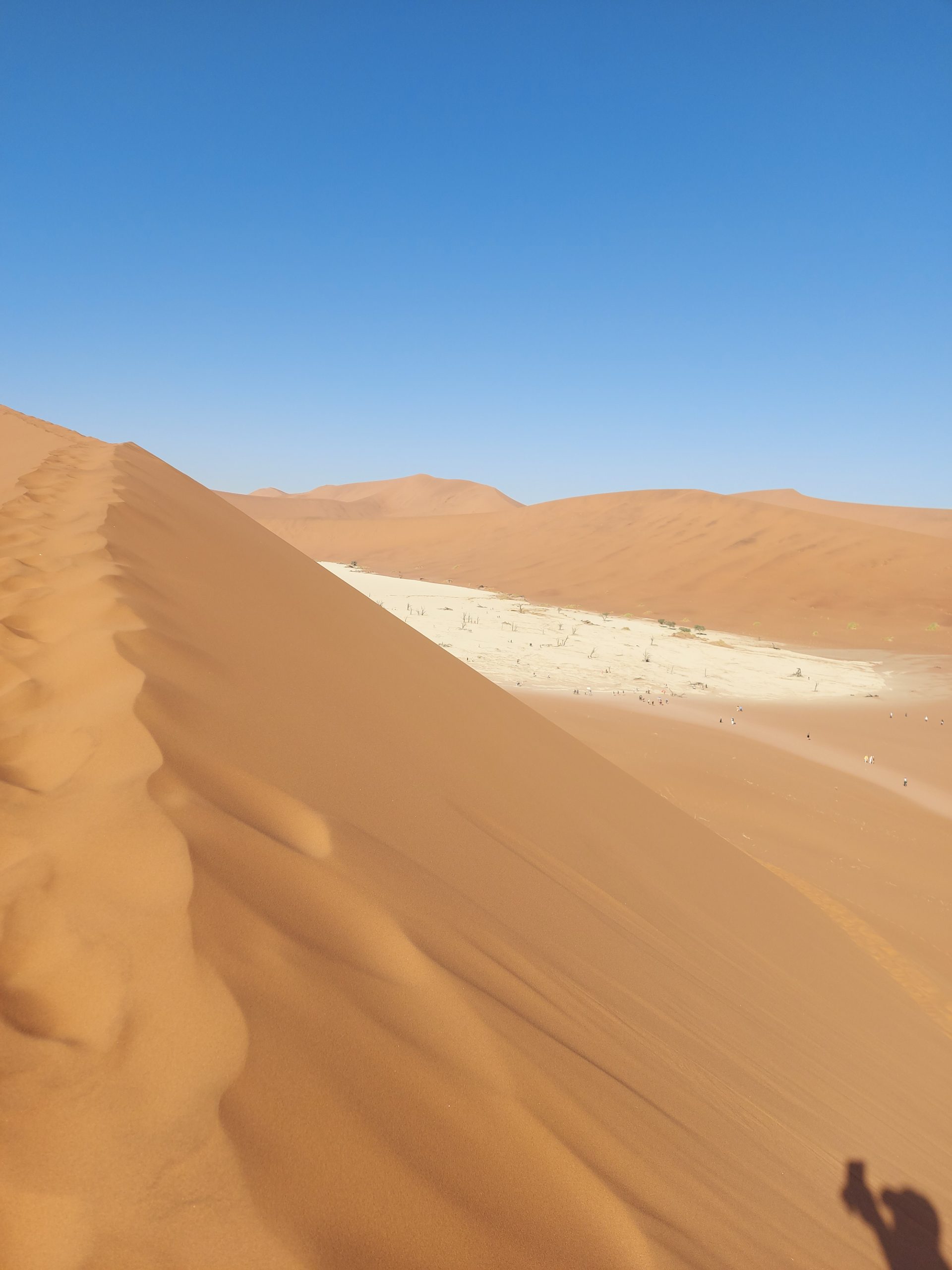 20240614_104340 scaled