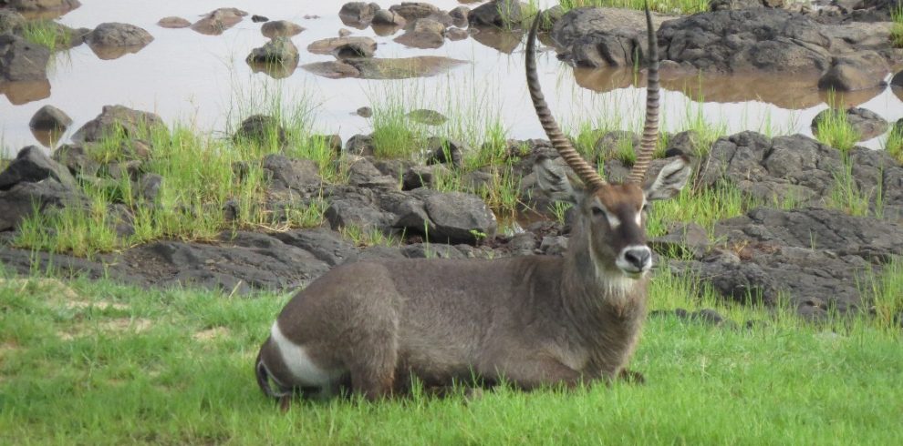 WhatsApp Image 2025-12-18 at 13.37.25